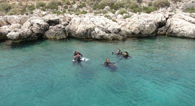 Akdeniz Boğsak Adası çevresinde zengin biyoçeşitliliği gözlendi