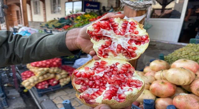 Avrupa Birliğinden Suruç narı kararı