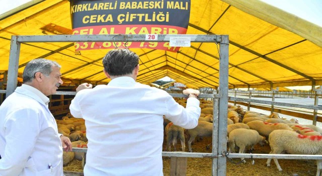 Bahçelievler Belediyesi Kurban Bayramı hazırlıklarını tamamladı