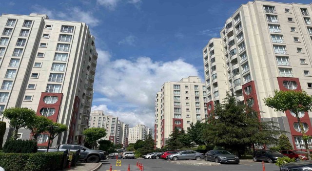 Başakşehirde site yönetiminin kedileri toplayarak boş araziye attığı iddiası tepkiye neden oldu