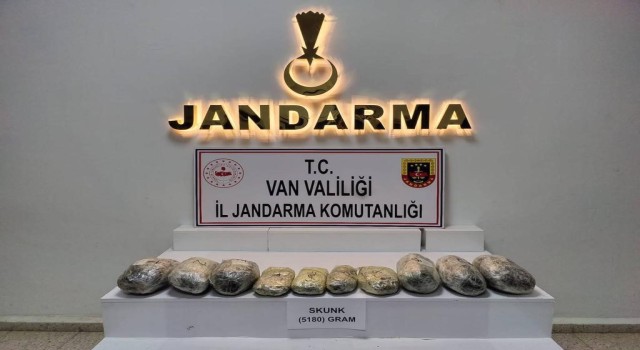 Başkalede 5 kilo skunk ele geçirildi