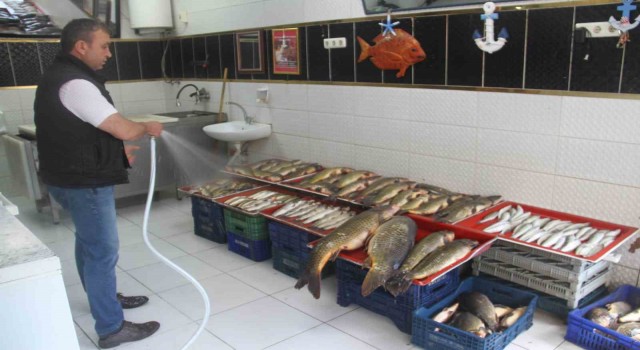 Beyşehir Gölünde av sezonu açıldı, balıklar tezgahları süsledi