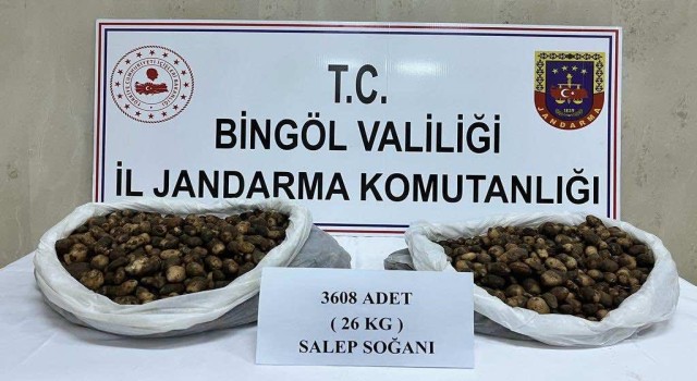 Bingölde salep soğanı toplayan şahıslara 488 bin 630 lira para cezası kesildi
