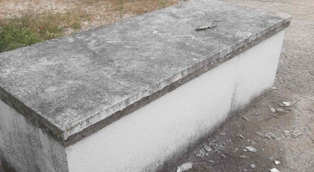 Bosna Hersekte mescide ve Boşnaklara yönelik çirkin saldırı