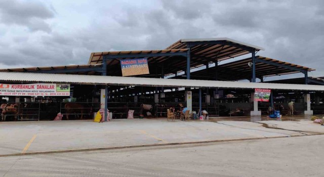 Bursada şap hastalığı kontrol altına alındı