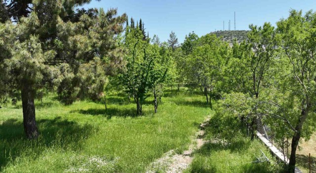 Büyükşehir Belediyesi Ormanaya kamp ve karavan alanı kazandırıyor