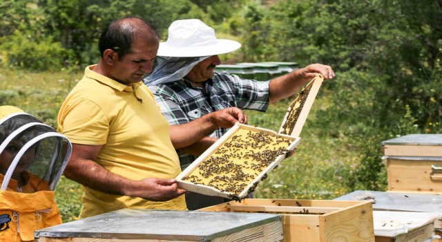 Çayırlıda arıcılık geliştiriliyor