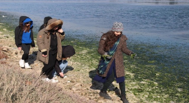 Deniz marulundan ambalaj projesine birincilik ödülü