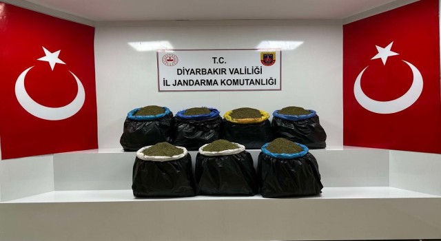 Diyarbakırda ağaçlık alanda 100 kilo esrar bulundu