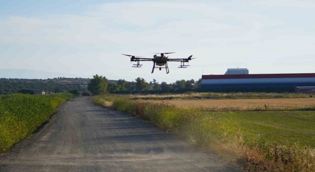 Dron ile sinek öldürüyorlar
