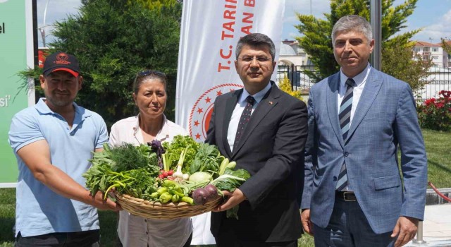 Edirnede örtü altı tarımla üretilen ürünler İstanbul pazarında alıcı bulacak