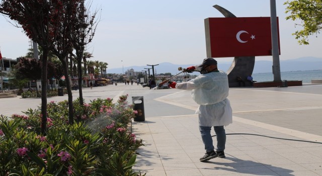 Edremitte sivrisinek ile mücadeleye hız verildi