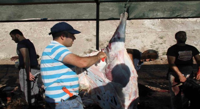 Elazığda bayram namazından çıkan vatandaşlar, kurbanlarını kesti