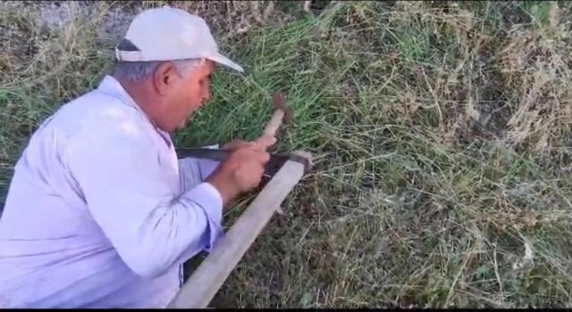 Elazığda köylülerin ot biçme mesaisi başladı