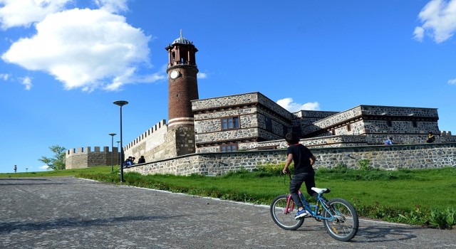 Erzurumda ortanca yaş 29,6