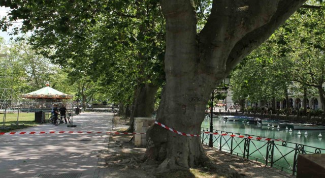 Fransada çocukları bıçaklayan saldırgan psikiyatri hastanesine sevk edildi