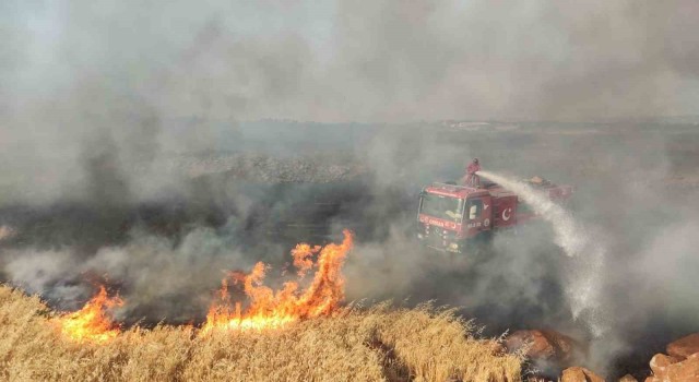 Gaziantepte 7 bin dönüm buğday tarlası yandı
