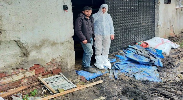 Gedizde selden zarar gören tavuk işletmesinde hasar tespit çalışması