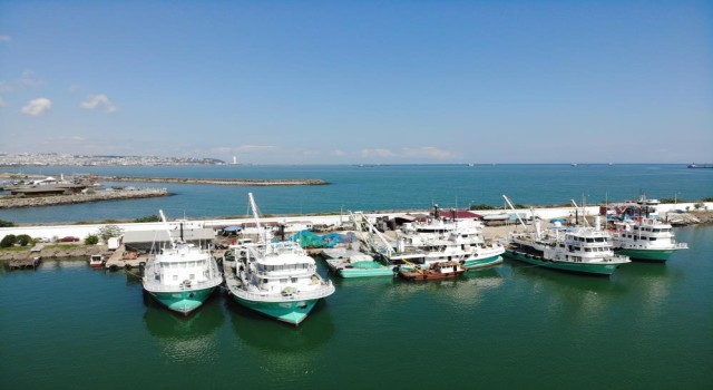 Hayvansal ürün ihracatıyla milyonlarca döviz Türkiyeye girdi