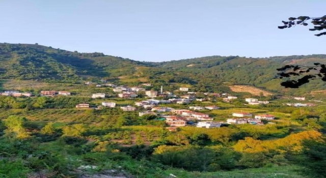 Hırsızlar, Alaplıda boş evlere dadandı