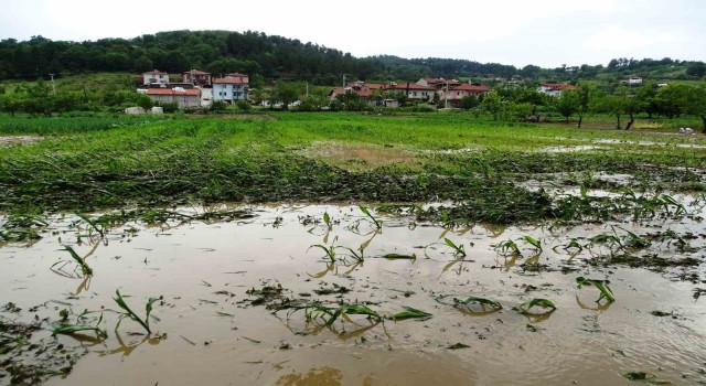 Hisarcıkta sağanak yağış sonrası tarım arazileri sular altında kaldı