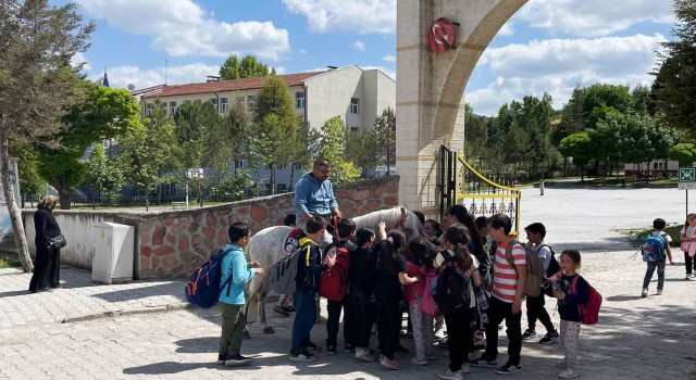 İlkokul öğrencilerinin at sevgisi