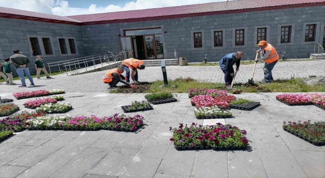 Karsta park ve bahçeler çiçek açıyor