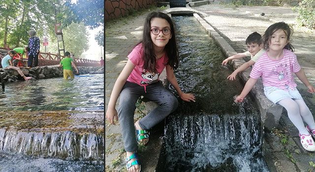 Kaşıntıya İyi Geldiği İddia Edilen Uyuzluk Suyu Dikkat Çekiyor
