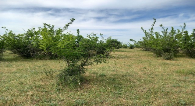 Kırklarelinde parçalanmış ceset bulundu