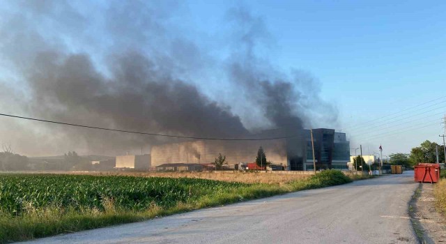 Kocaelide geri dönüşüm fabrikasında yangın: 3 kişi dumandan etkilendi
