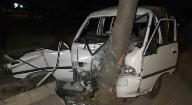 Kontrolden çıkan otomobil ağaca çarptı: 7 yaralı