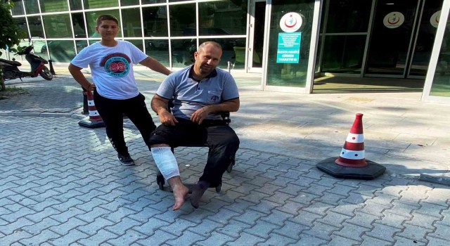 Konyada acemi kasaplar iş başında