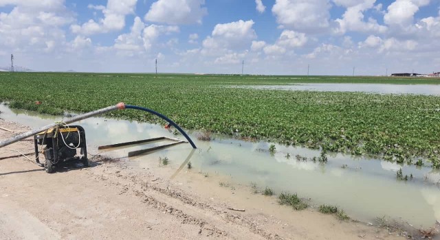 Konyada suyla dolan tarlalardan su tahliye çalışması yapılıyor