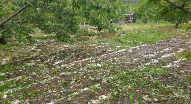 Kuraklıktan endişe eden çiftçiyi dolu ve yağışlar vurdu