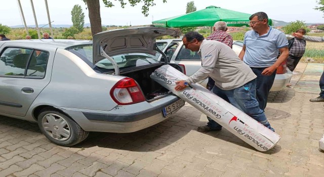 Manisada çilek üretimine destek