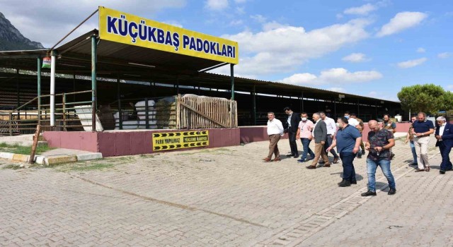 Manisada kurban satış ve kesim yerleri belirlendi