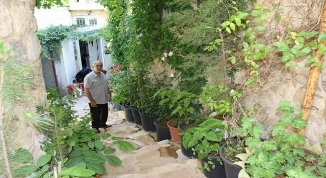 Mardinde tarihi sokak bahçeye dönüştürüldü