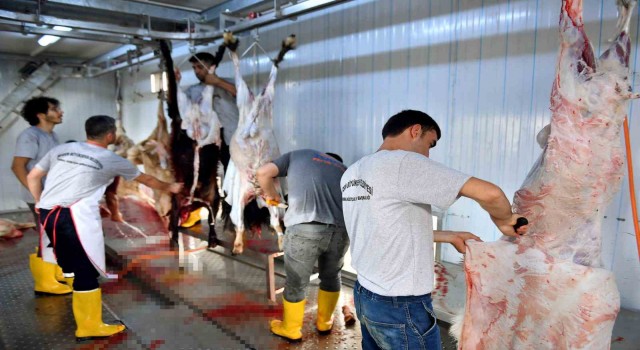Mersin Büyükşehir Belediyesinin mezbahaları ve mobil kesim ünitelerine yoğun ilgi