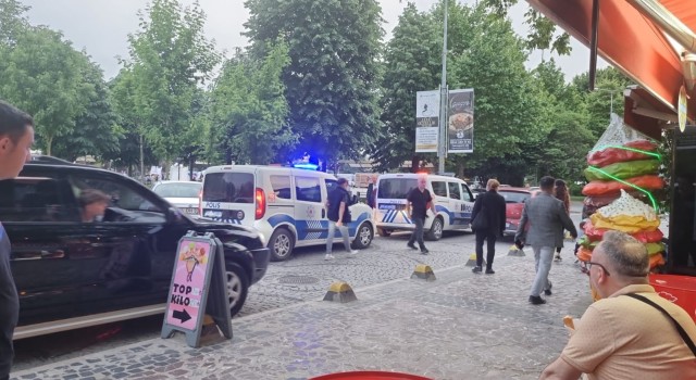 Millet bahçesinde yanan palmiye itfaiyeyi harekete geçirdi