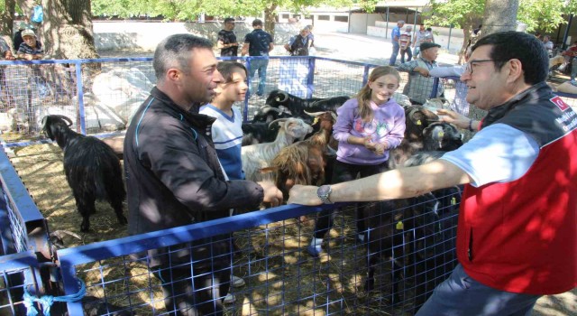 Muğlada 102 kurban kesim noktası oluşturuldu