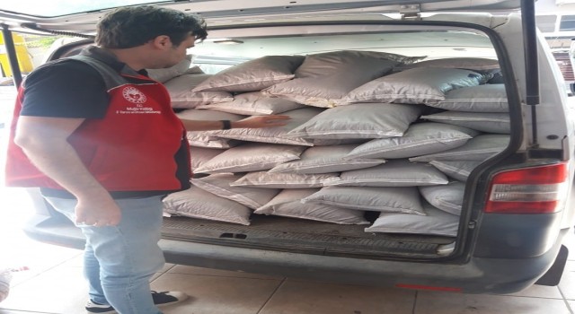 Muğlada bin 460 kg kaçak çay yakalandı