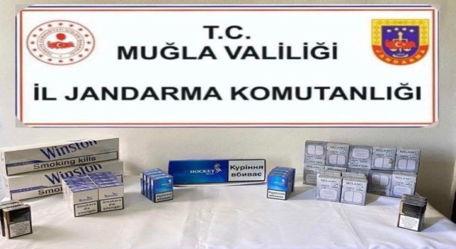 Muğlada kaçak sigara operasyonu