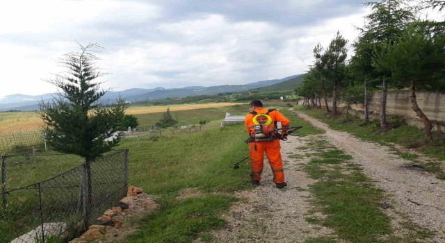 Niksarda bayram öncesi mezarlıklarda temizlik çalışması