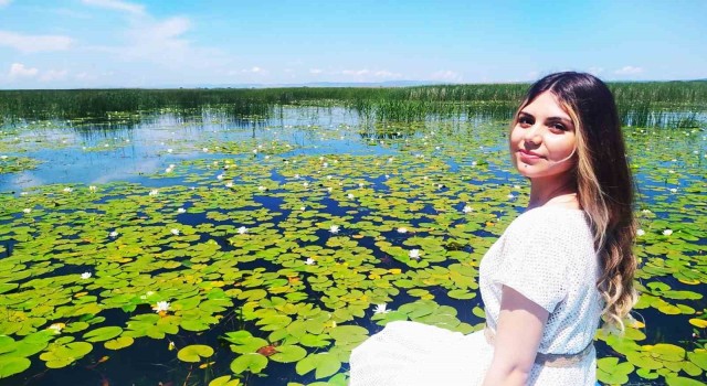 Nilüferin görsel şöleni başladı
