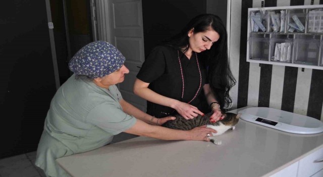 Ölümcül kuduz hastalığıyla ilgili veteriner hekimden aşı çağrısı