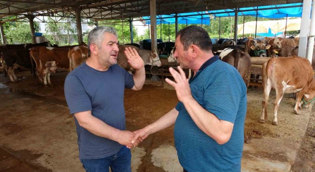 Orduda besicilerin gözü 9 günlük bayram tatilinde