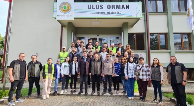 Orman mühendisi adayları yerinde eğitim alıyor