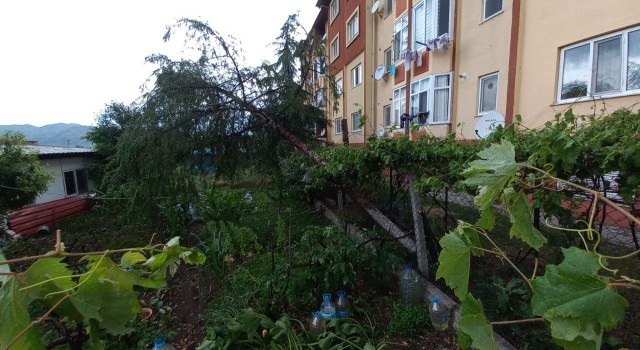 Osmancıkı fırtına ve sağanak vurdu: Çatılar uçtu, ağaçlar söküldü, caddeler göle döndü
