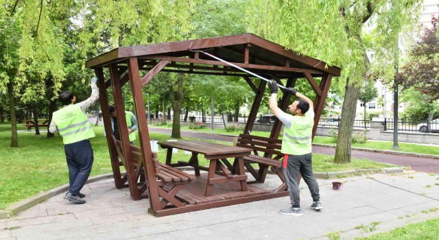 Parklar çiçek ve bitkilerle süsleniyor