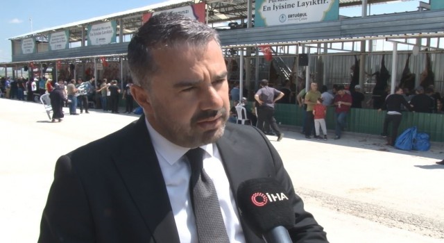 Pursaklar Belediyesi kurban kesim alanında saatte 40 büyükbaş hayvan teslim ediliyor